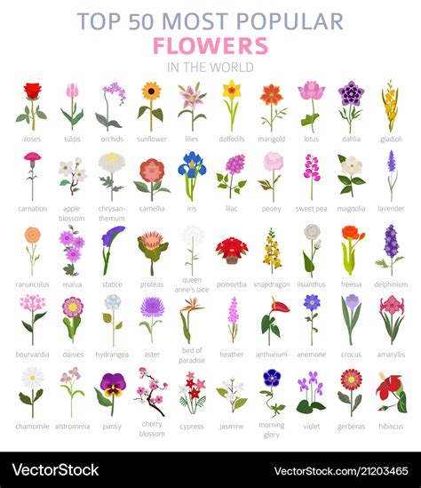 50 Most Popular Flowers: A Comprehensive Guide to Iconic。